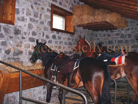 mount_etna_riding2